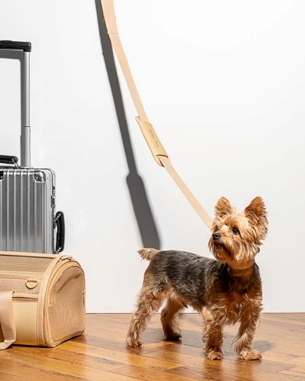 Wild One Travel Carrier Tan - Image 6
