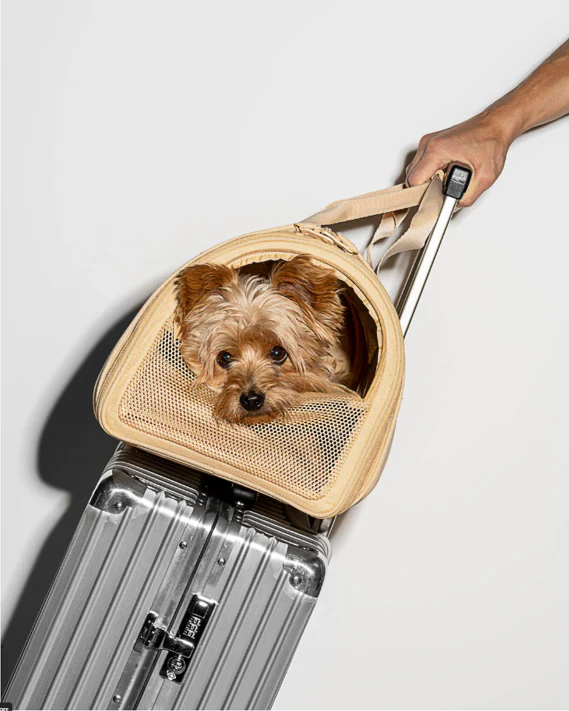 Wild One Travel Carrier Tan - Image 7