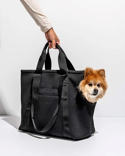 Wild One Black Dog Carrier