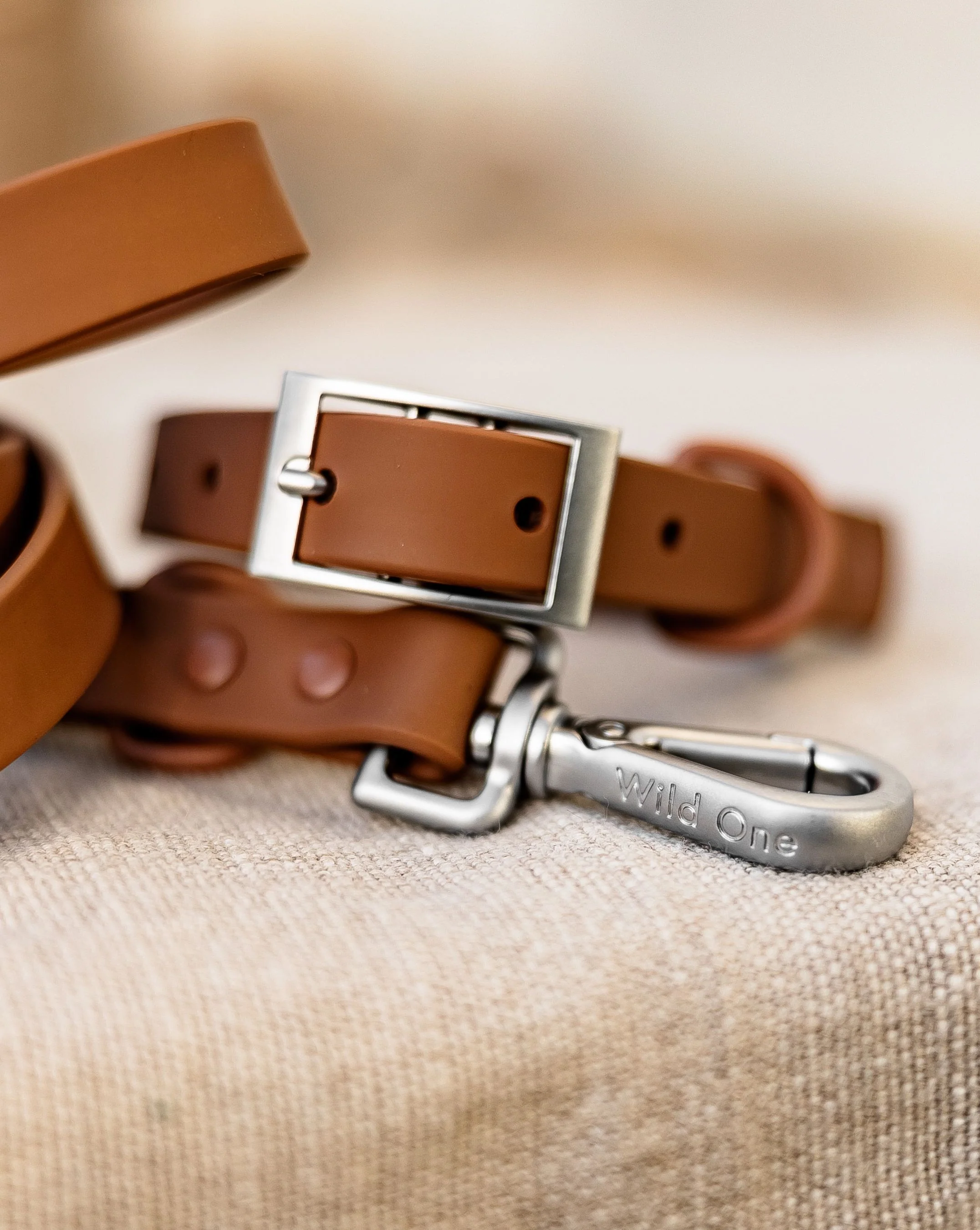 Wild One Cocoa Dog Collar - Image 4
