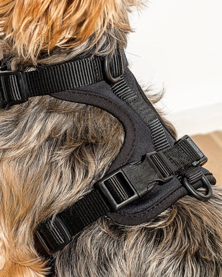Wild One Black Dog Harness - Image 3