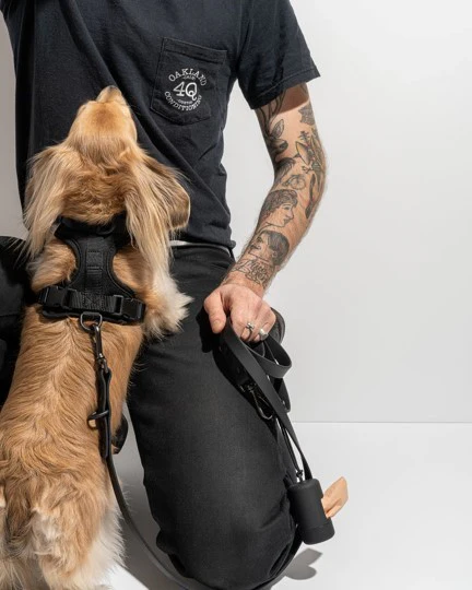 Wild One Black Dog Harness - Image 5