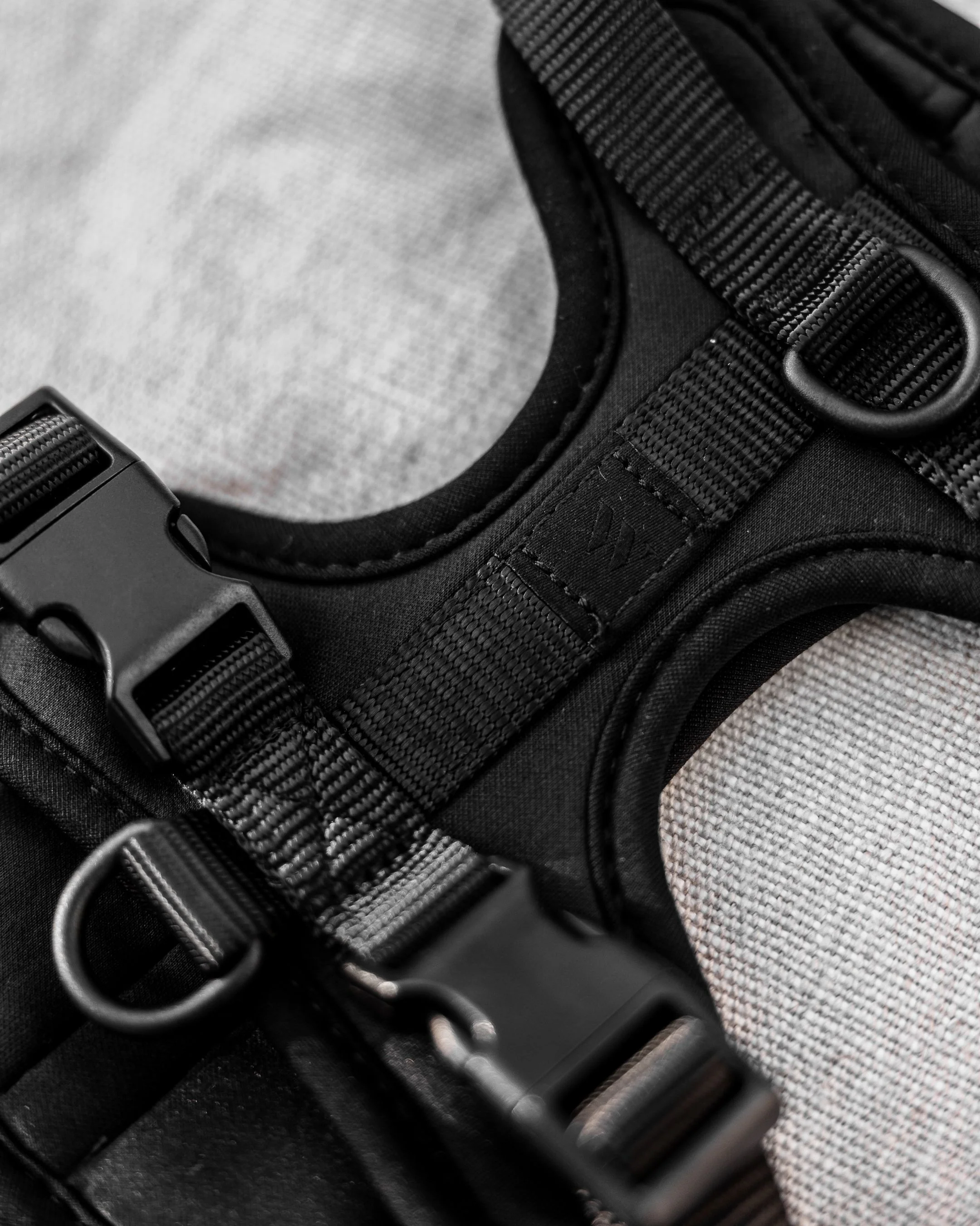 Wild One Black Dog Harness - Image 6