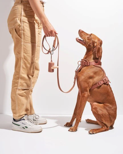 Wild One Cocoa Dog Harness - Image 2