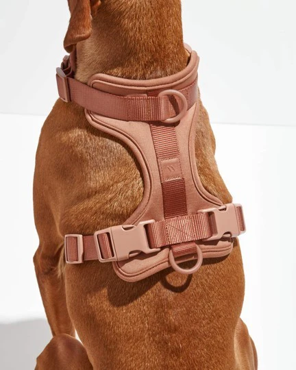 Wild One Cocoa Dog Harness - Image 3