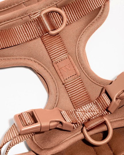 Wild One Cocoa Dog Harness - Image 4