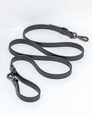 Wild One Black Dog Leash