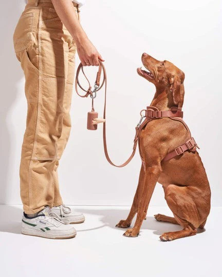 Wild One Cocoa Leash - Image 3