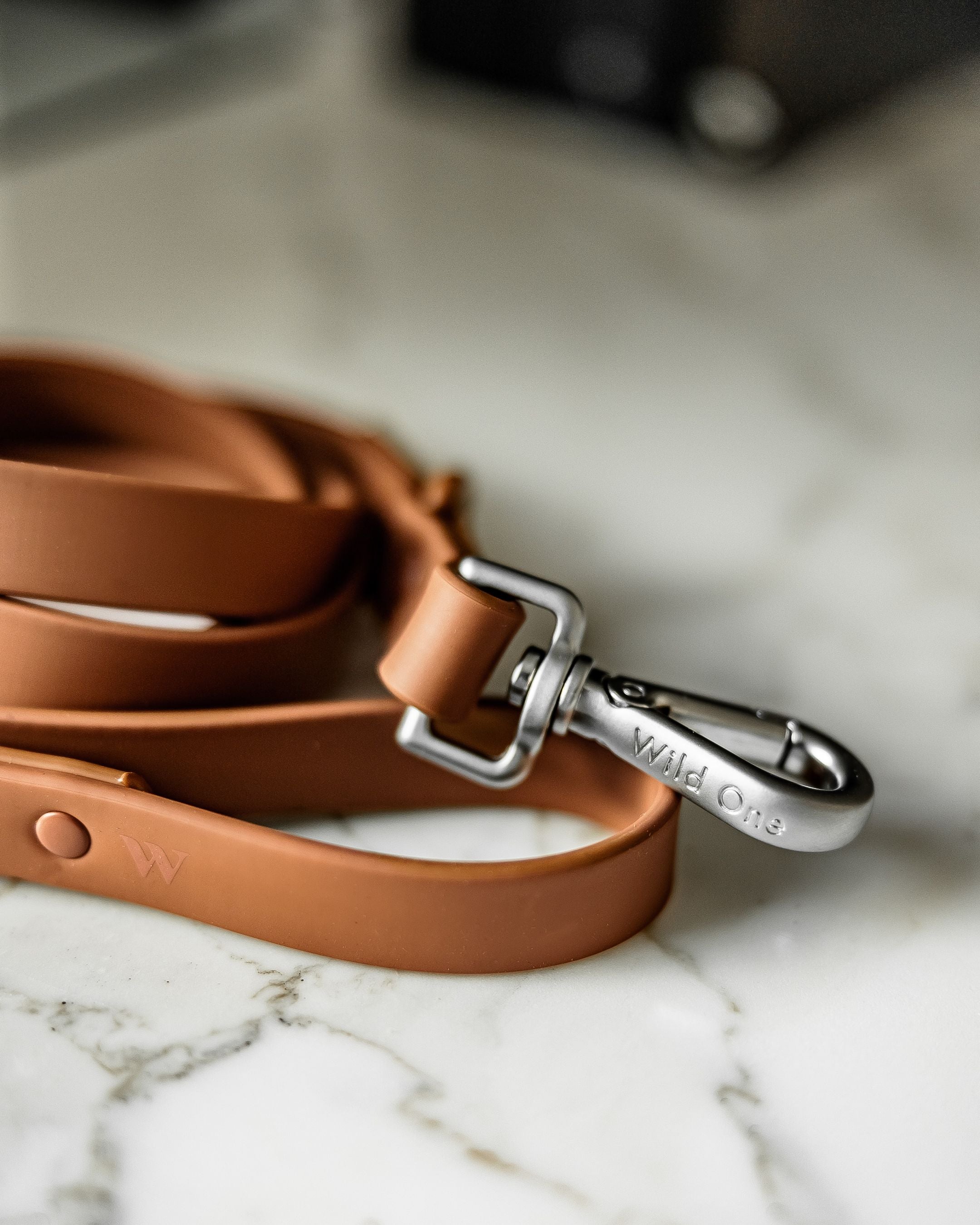 Wild One Cocoa Leash - Image 4