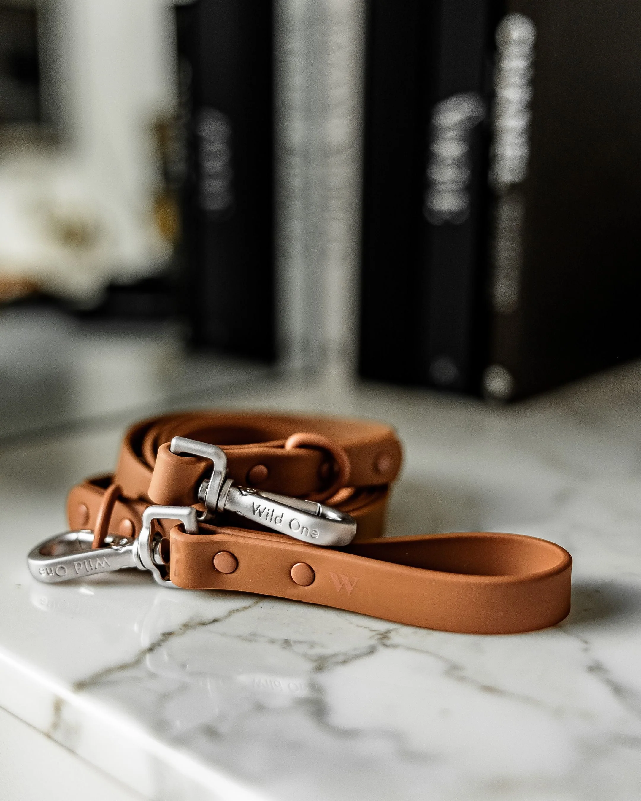 Wild One Cocoa Leash - Image 6