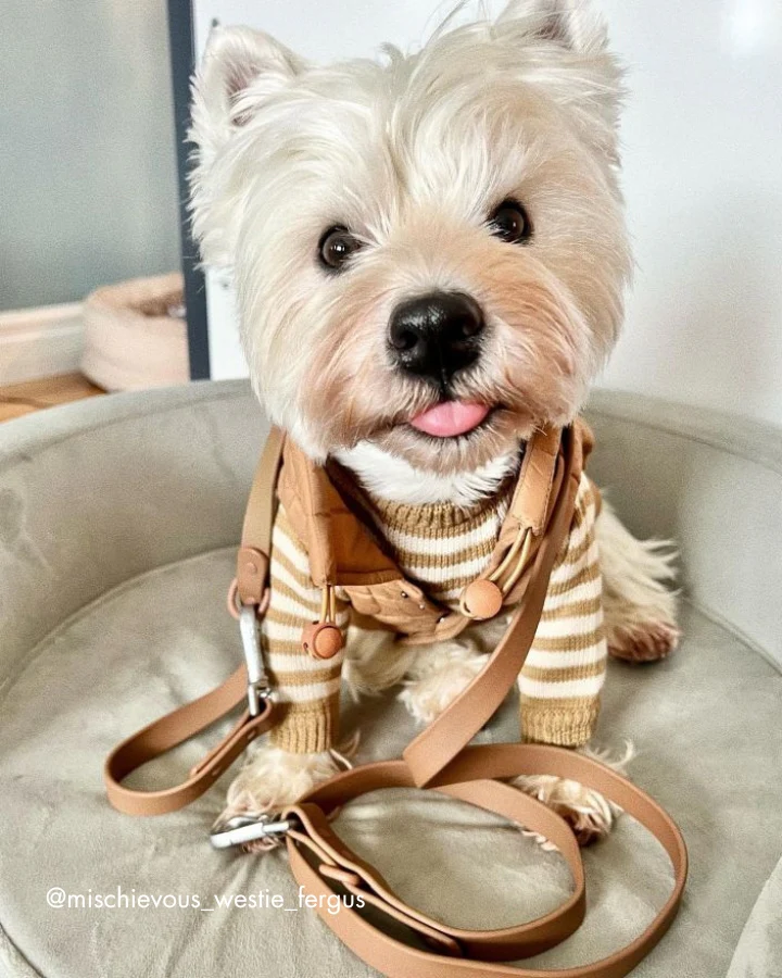 Wild One Cocoa Leash - Image 9