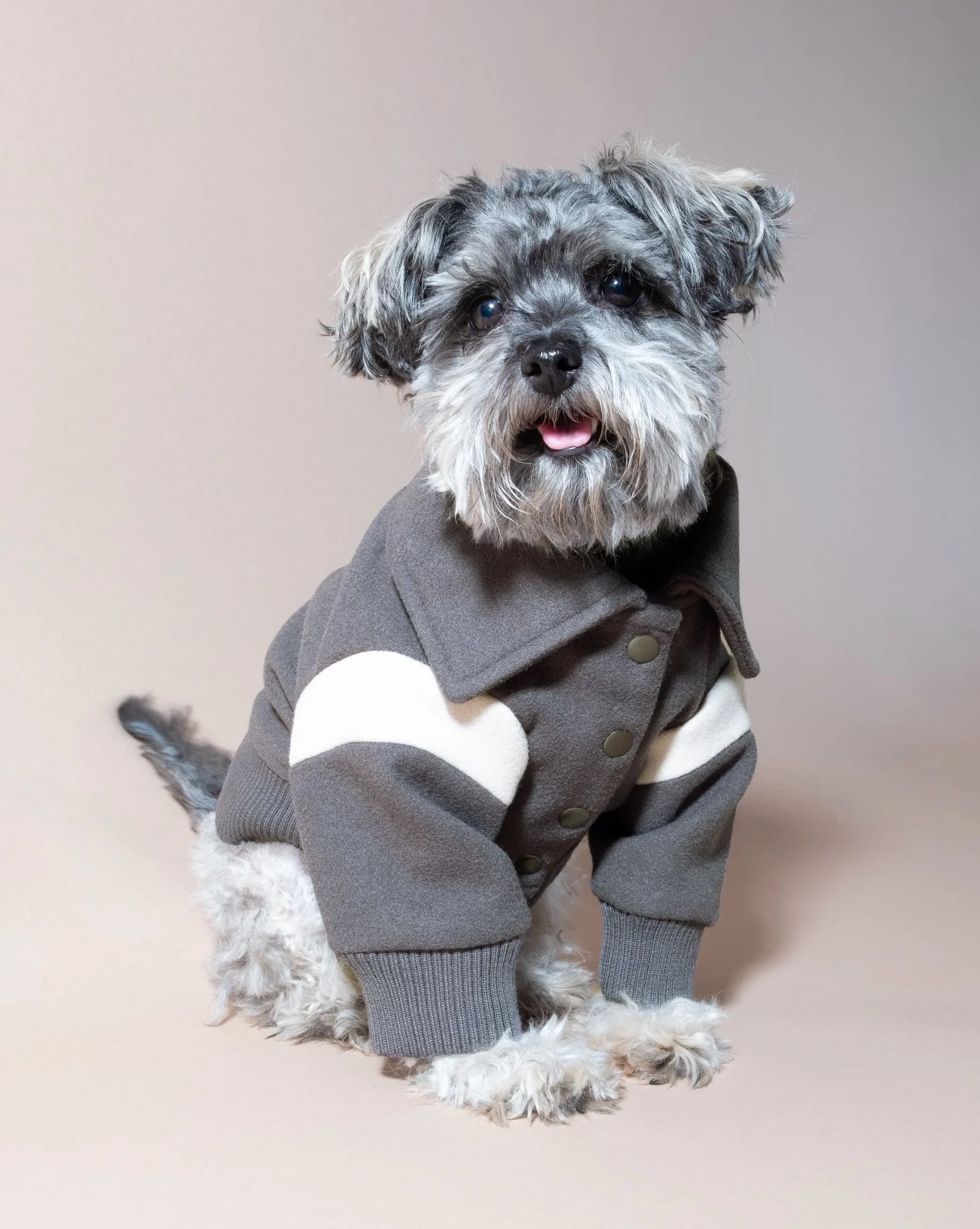 Pupper Classmen Gray Wool Varsity Jacket - Image 3