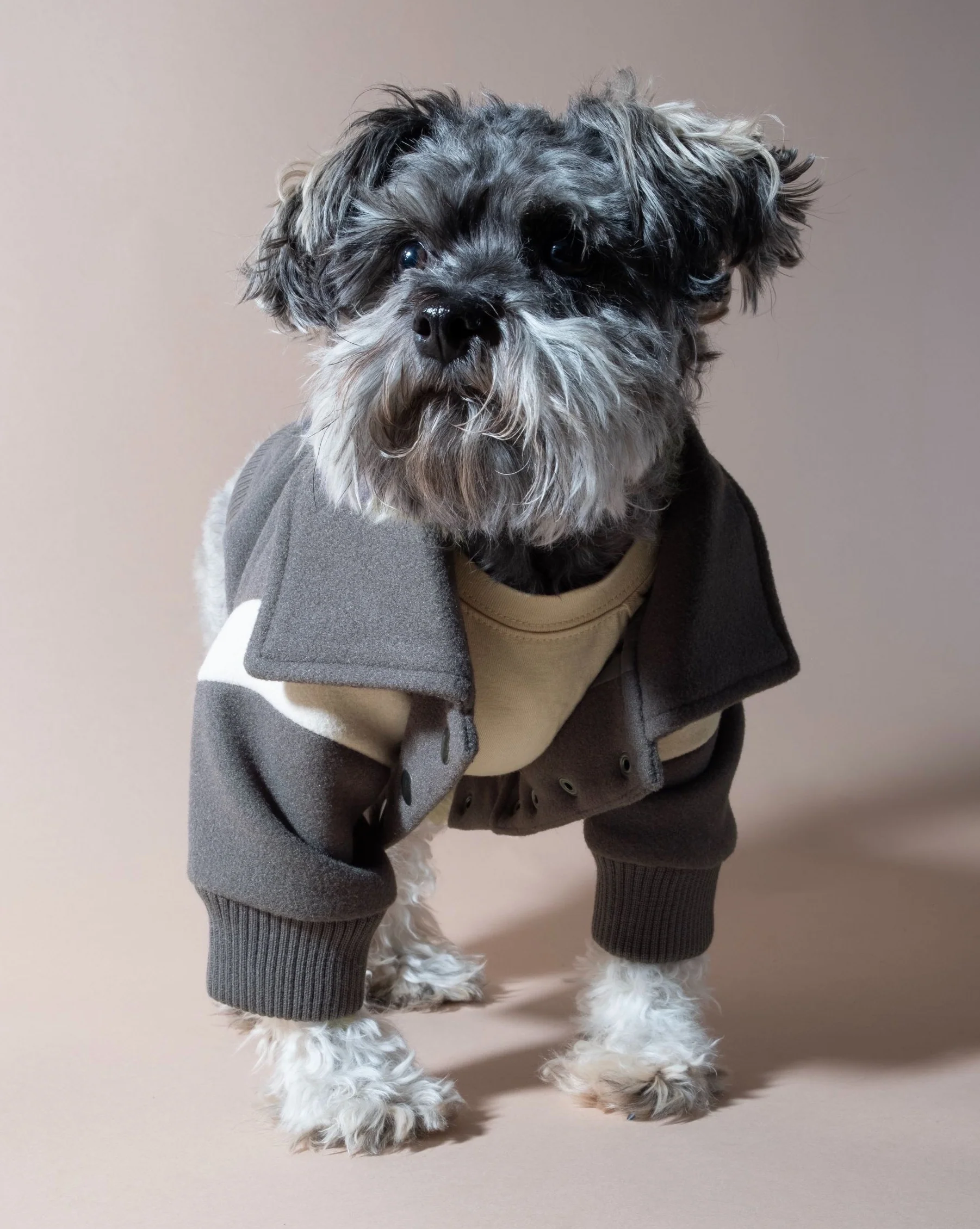 Pupper Classmen Gray Wool Varsity Jacket - Image 5