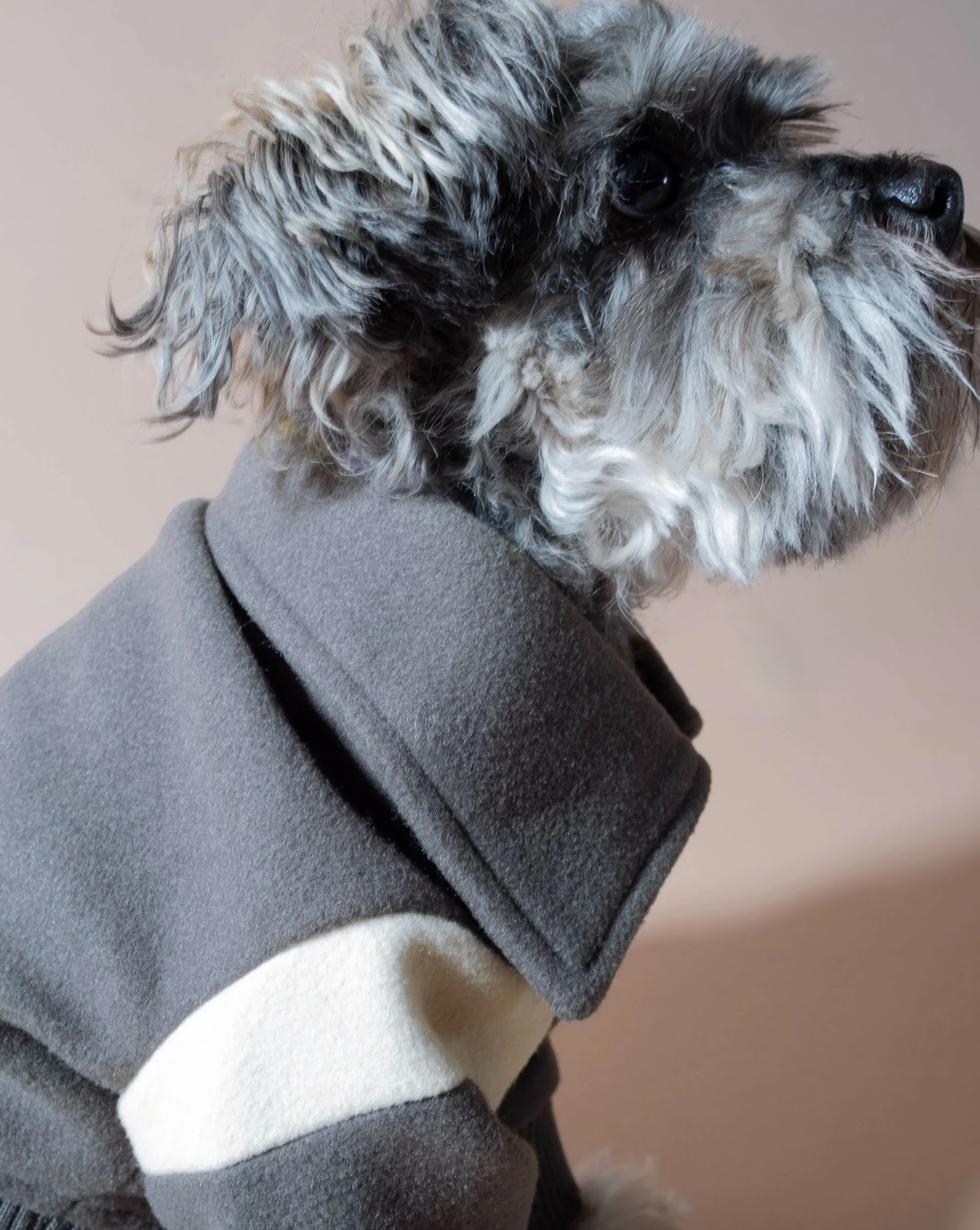 Pupper Classmen Gray Wool Varsity Jacket - Image 6