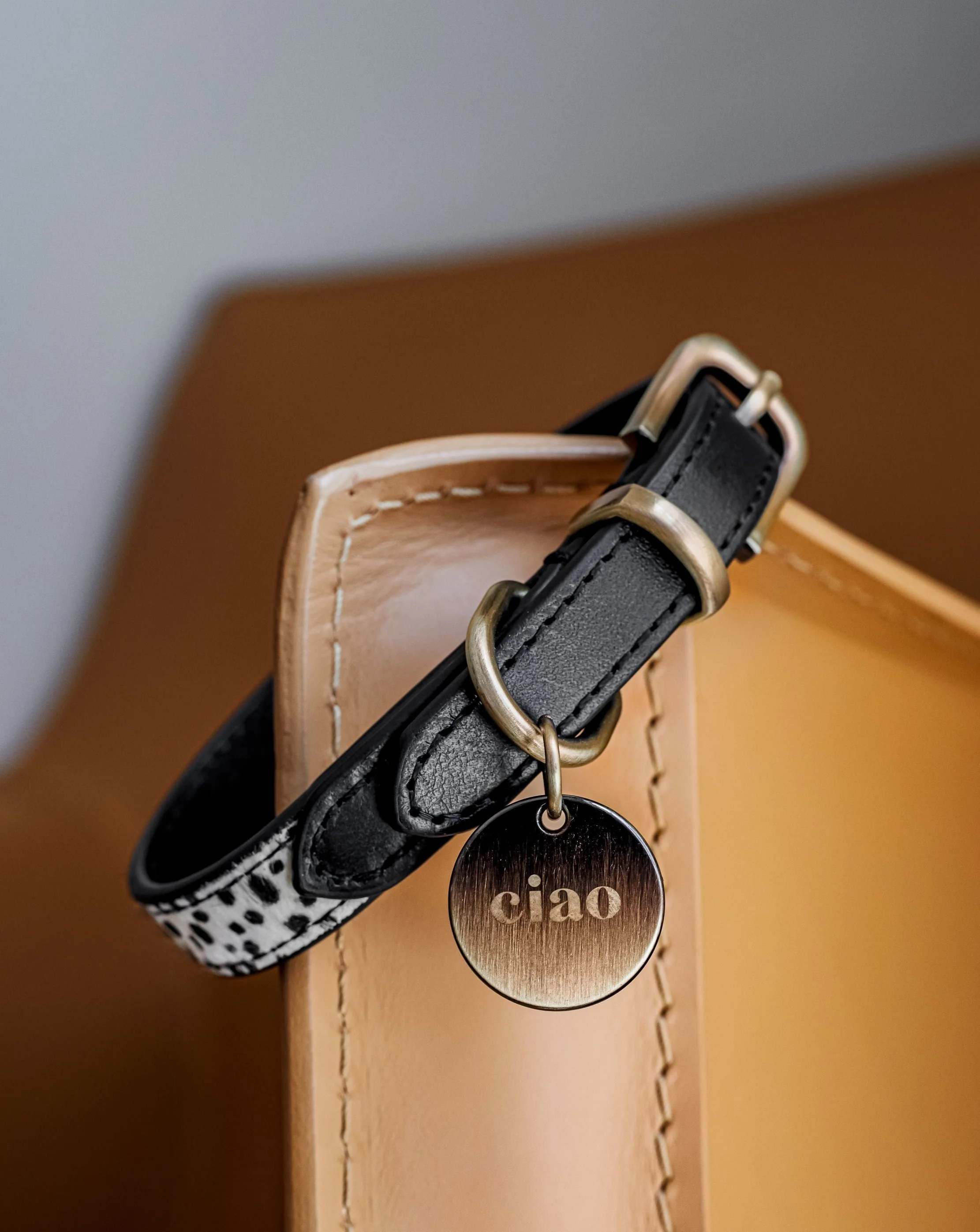 Wylde Black Spotted Dog Bundle - Image 3