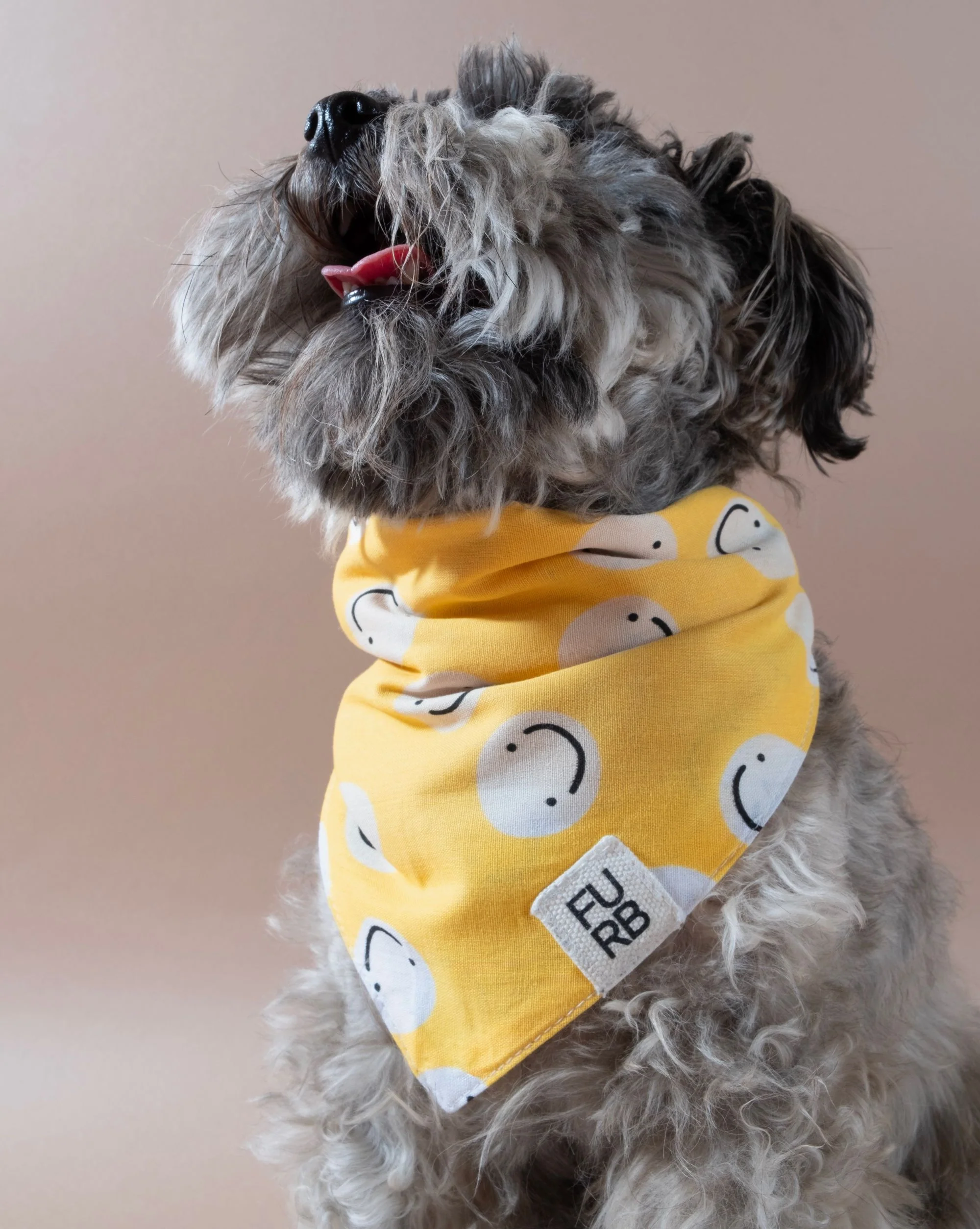 Stella Smiley Face Yellow Bandana - Image 2