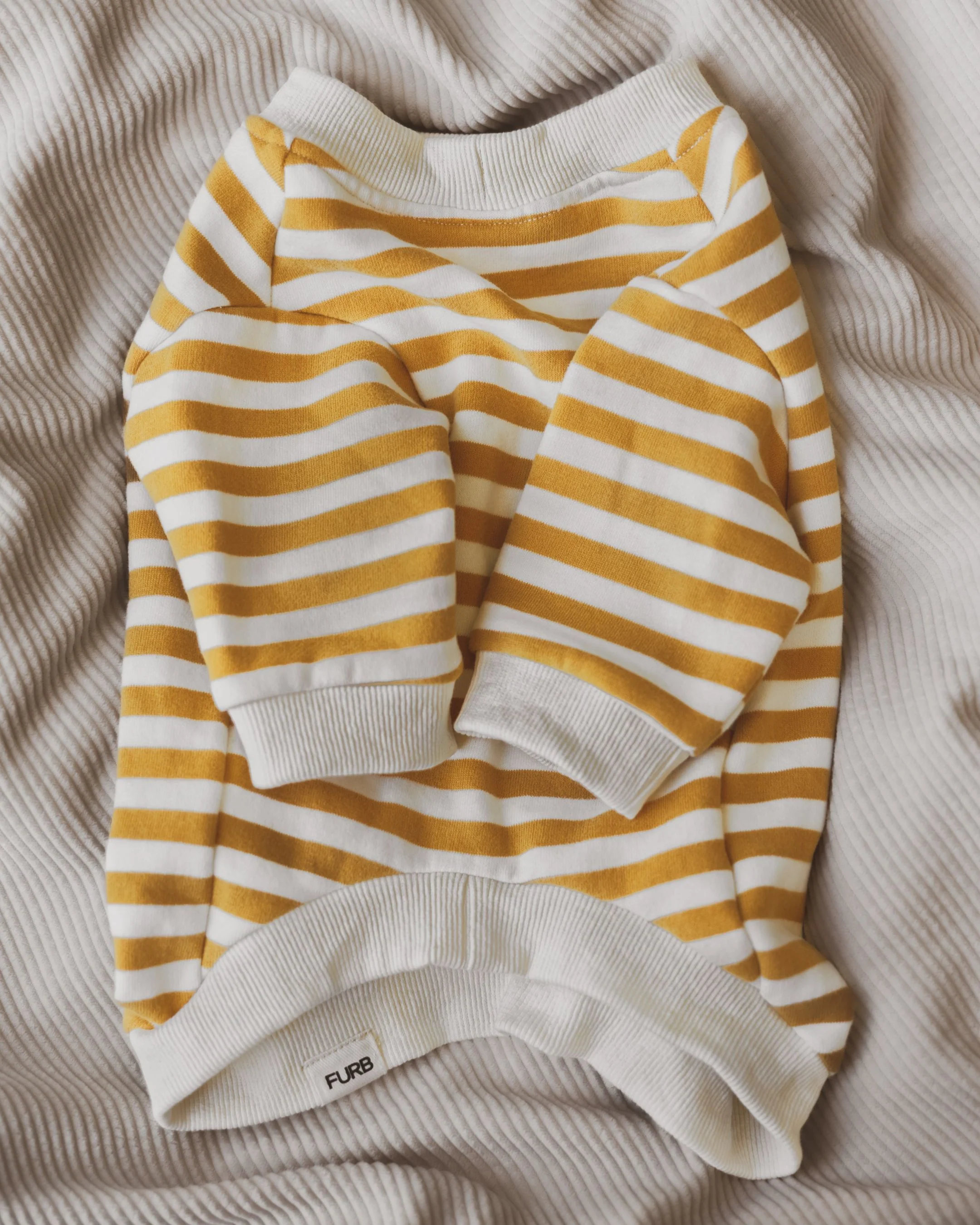 Camden Goldenrod Striped Dog Sweatshirt - Image 3