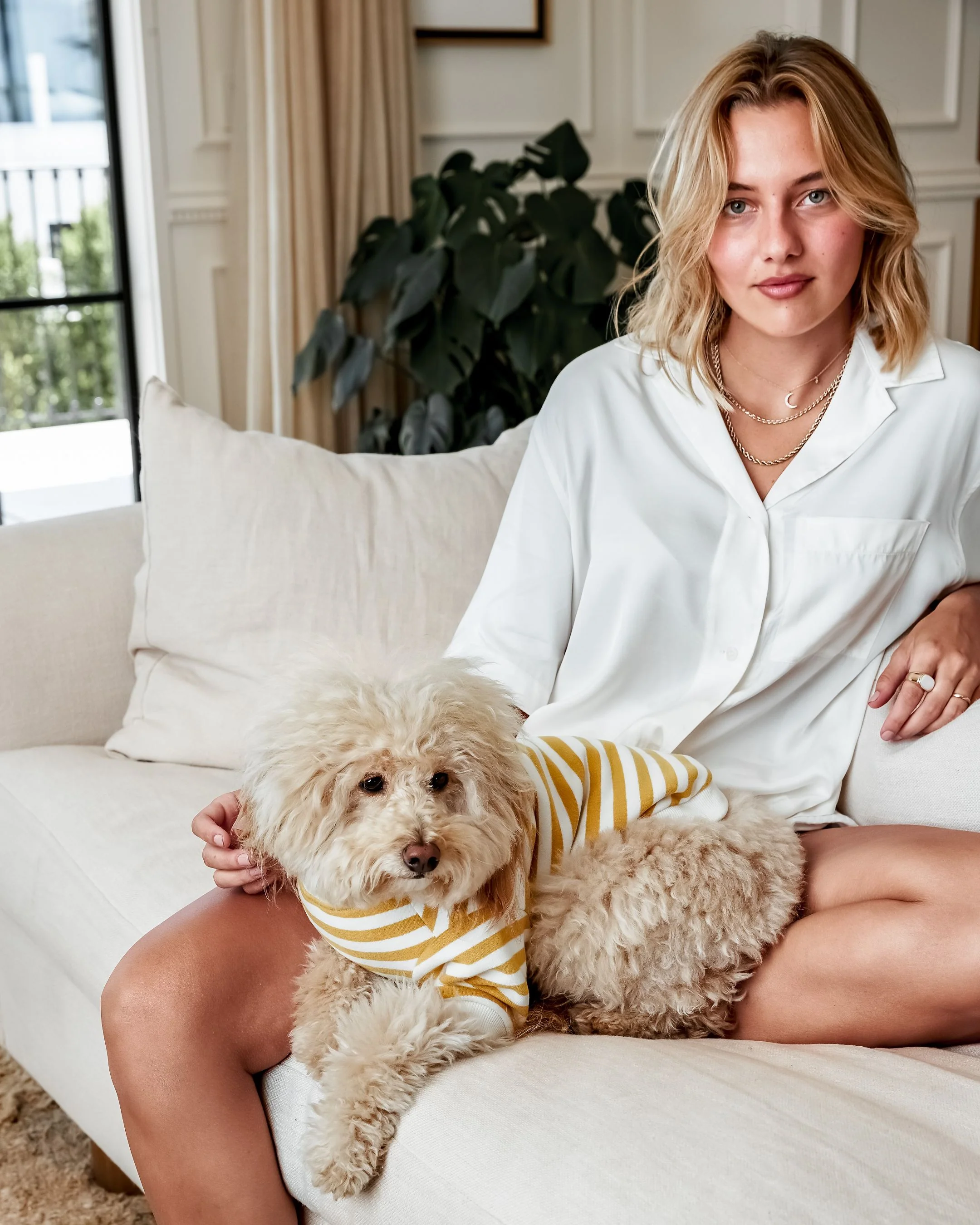 Camden Goldenrod Striped Dog Sweatshirt - Image 5
