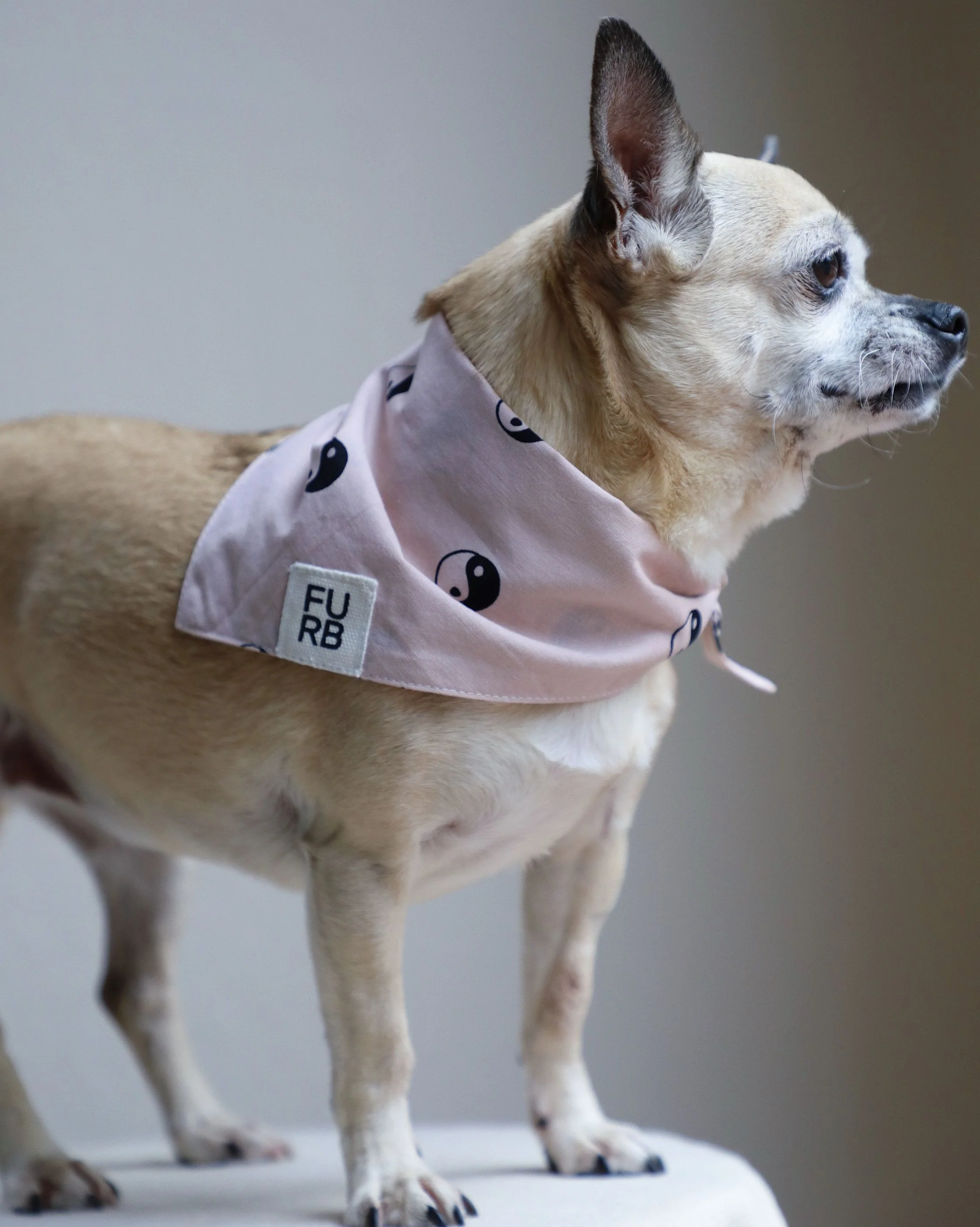 Total Zen Pink Yin Yang Dog Bandana - Image 2