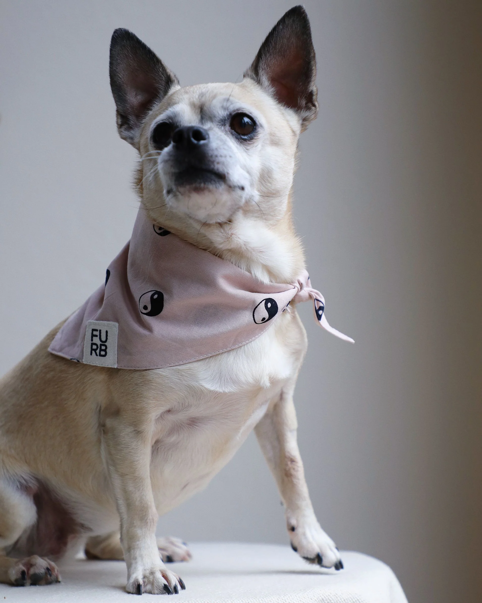 Total Zen Pink Yin Yang Dog Bandana - Image 3