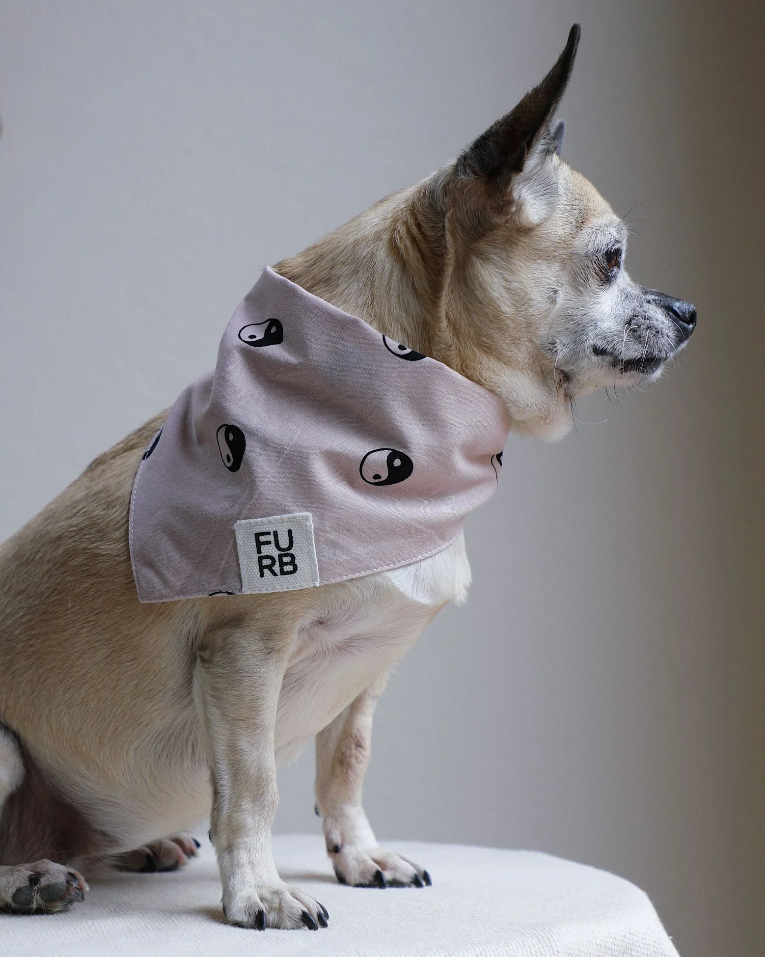 Total Zen Pink Yin Yang Dog Bandana - Image 8