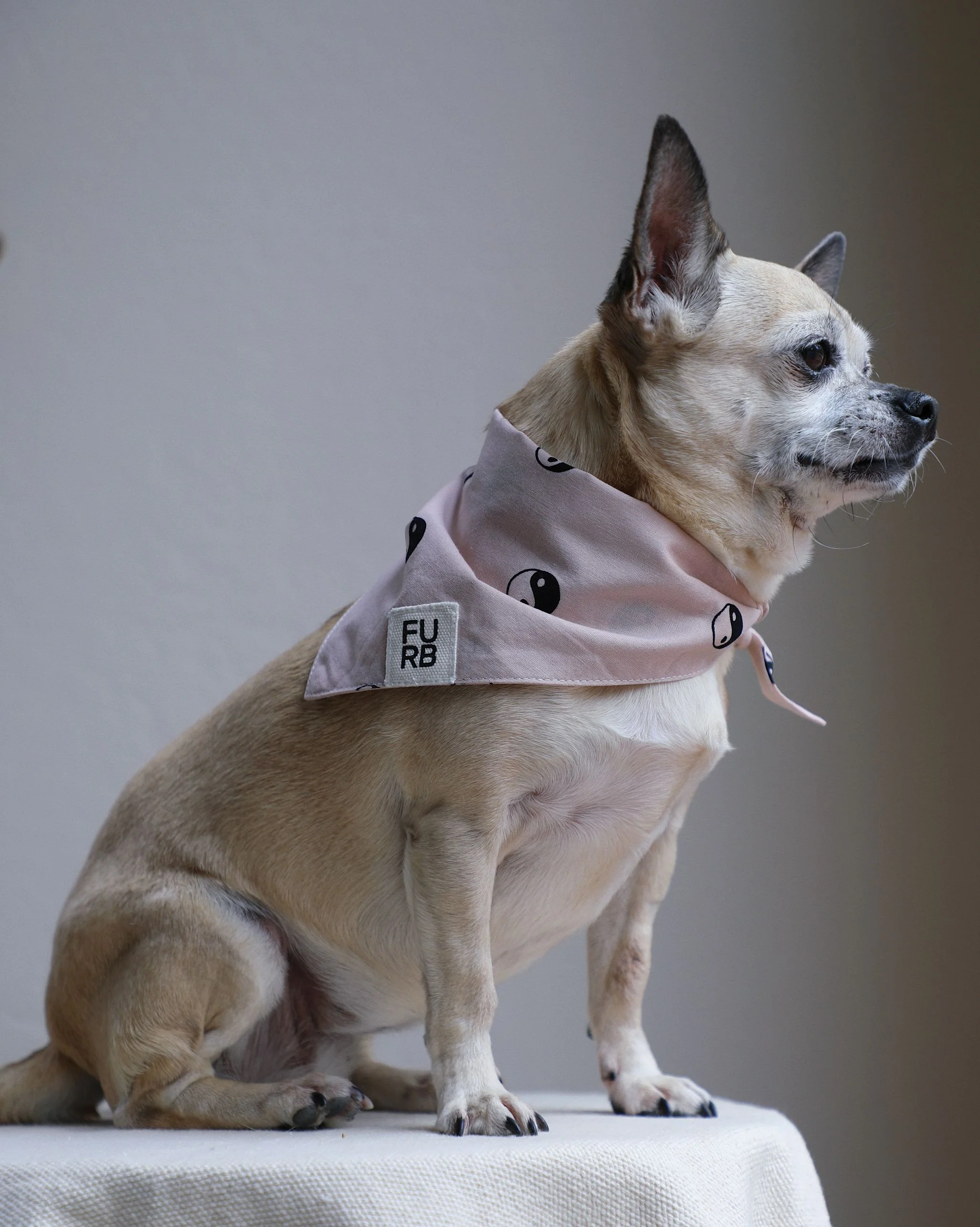 Total Zen Pink Yin Yang Dog Bandana - Image 9
